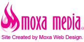 WordPress Website Created by Moxa Web Design - moxawebdesign.com